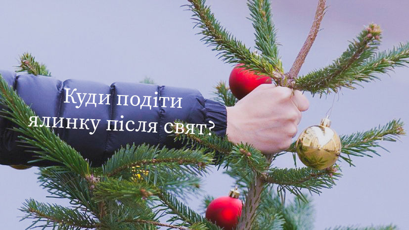 Куди в Ірпені здати новорічні ялинки