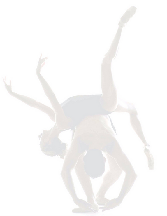 Pasodos — Palma Dance Center — dans-studio i Son Fortesa, Palma