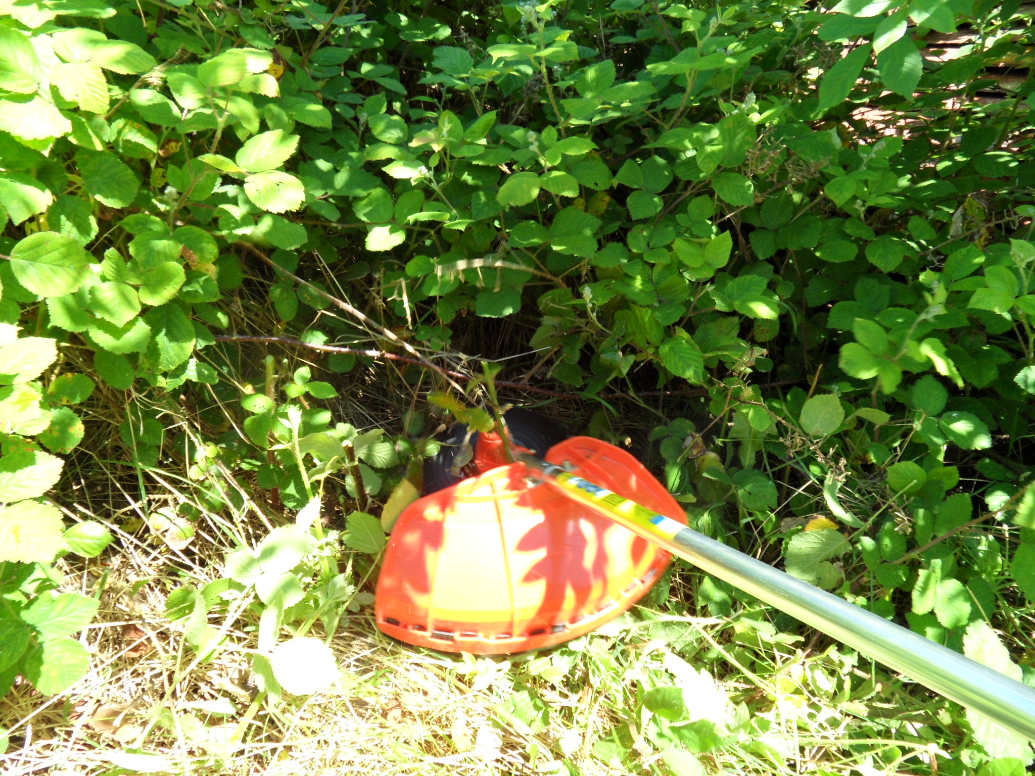 Ground