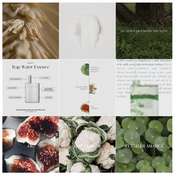 Screen Shot 2023-11-02 at 12.49.24 PM