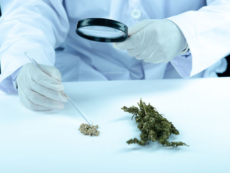 The New Benchmark for Hemp Testing by HighRes Labs