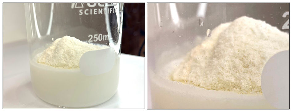 Fox Valley 3240 Unwetted Powder.jpg