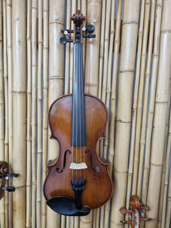violin1