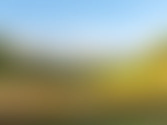 Public Notice: Accreditation Renewal