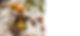 Vita-Nova-Gesundheit-Ernaehrung-Coaching-Hannah-Weber-Welle-fullscreen2.png