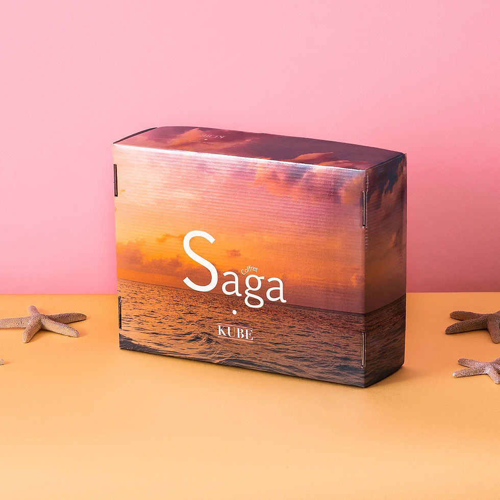 Miniature : Coffret livres Saga
