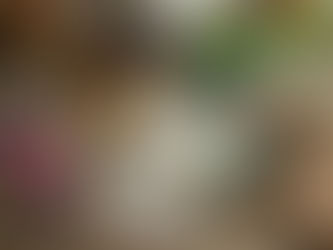 Disparition de France Loisirs : comment remplacer son abonnement livre avec Kube ?