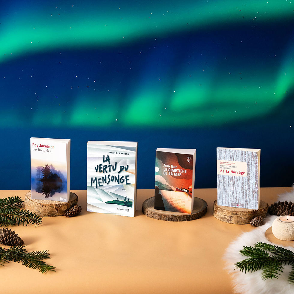 Miniature : Le Coffret livres - Norvège