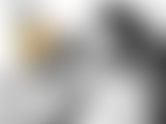 Quelle est la différence entre BD, comics et roman graphique ?