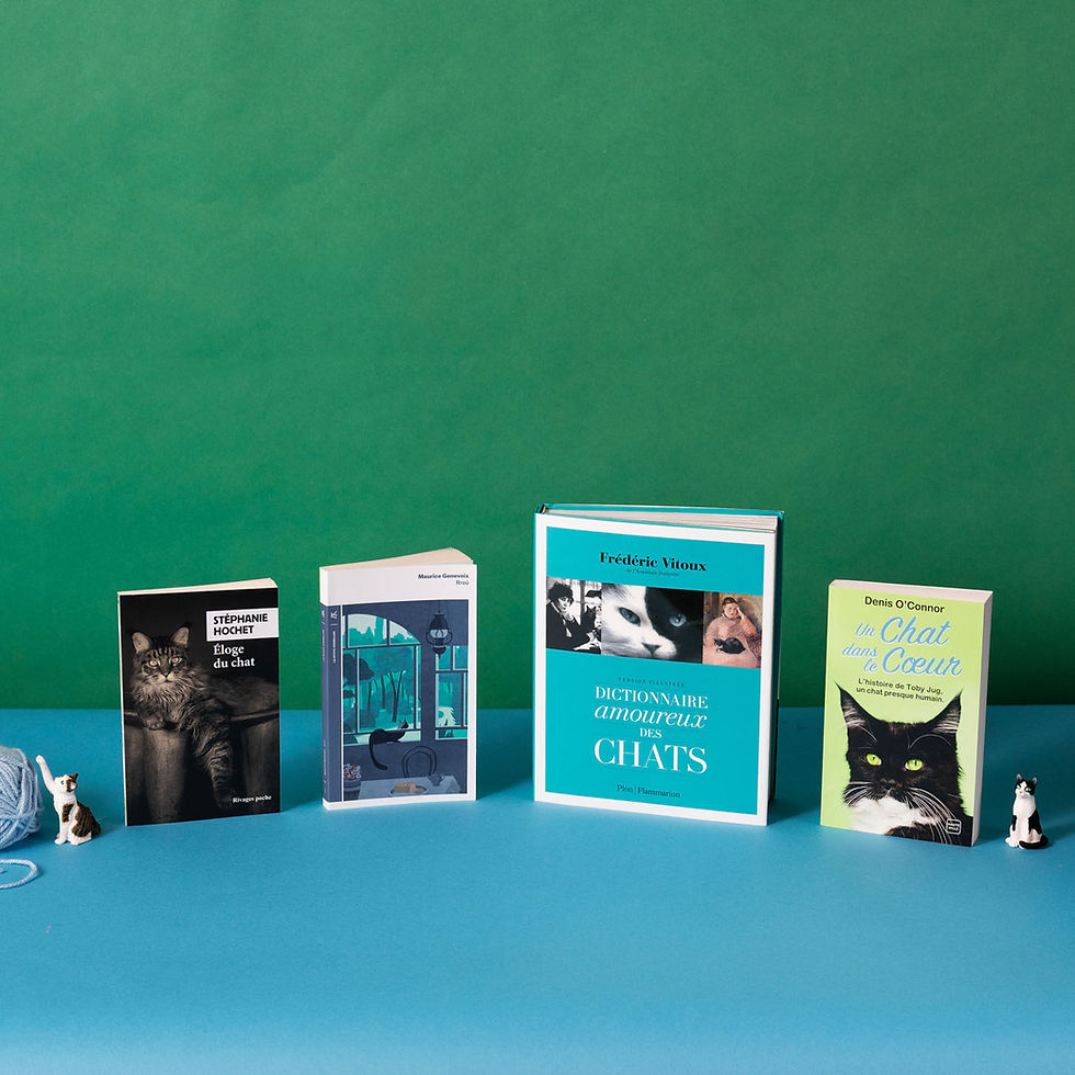 Miniature : Le Coffret livres - Chat
