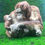 Thumbnail: Orangutan And  Baby Sherratt And Simpson 55418  Primate Monkey Ape Statue Heavy