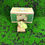 Thumbnail: Pocket Dragon Counting The Days by Real Musgrave boxed  booklet pre loved