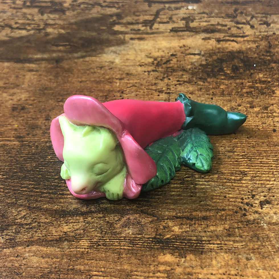 Thumbnail: Rare Pocket Dragon  Late Bloomer  Real musgrave Unboxed