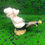 Thumbnail: Piggin Celebrations 1999 by David Corbridge Bottle of Champagne Birthday Boxed