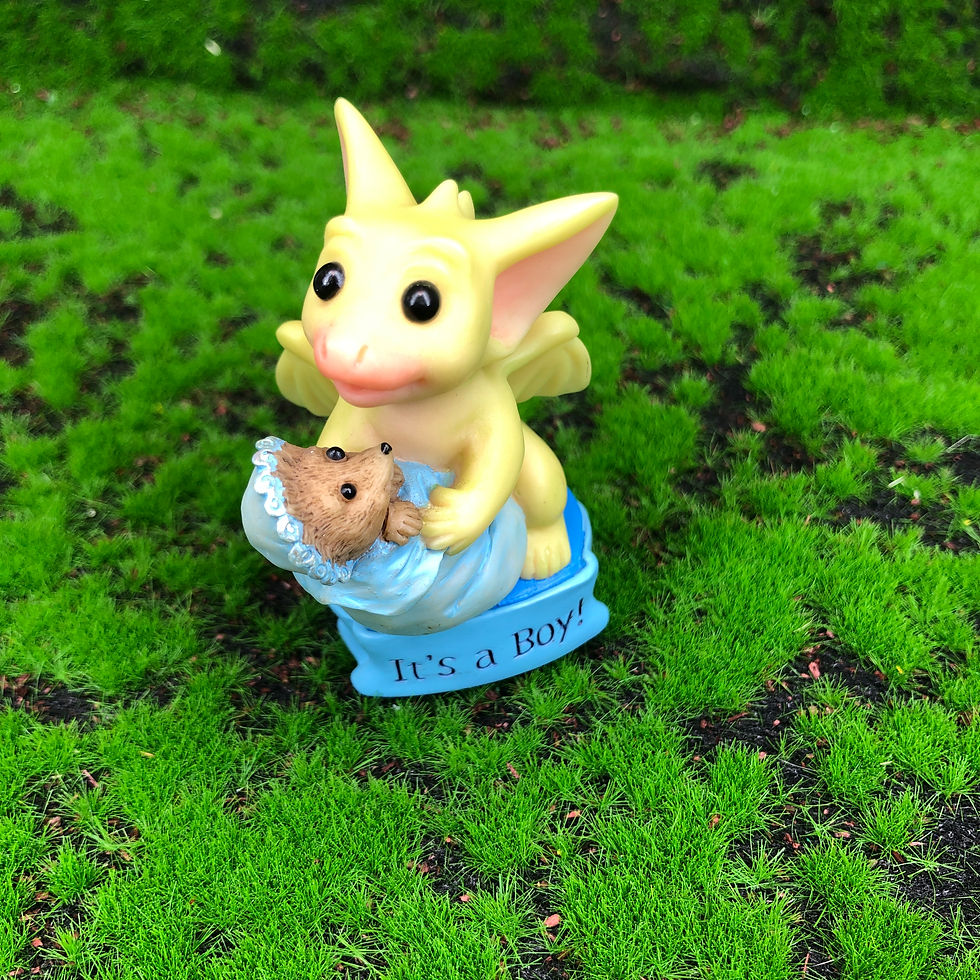 Thumbnail: POCKET DRAGONS  Messages It’s A Boy’ Boxed With  Booklet And Card Pre Loved,real