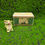 Thumbnail: Real Musgrave Whimsical World Of Pocket Dragons I’m Cranky Boxed  U4B11/23925