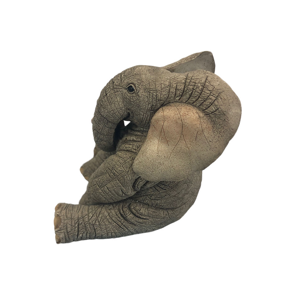 Thumbnail: Tuskers Love Is Without Boundaries Elephants boxed pre love African  Wild Animal
