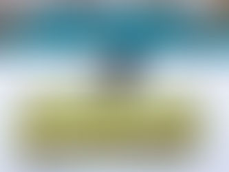 Power outages, ice, arctic cold, and sick drivers