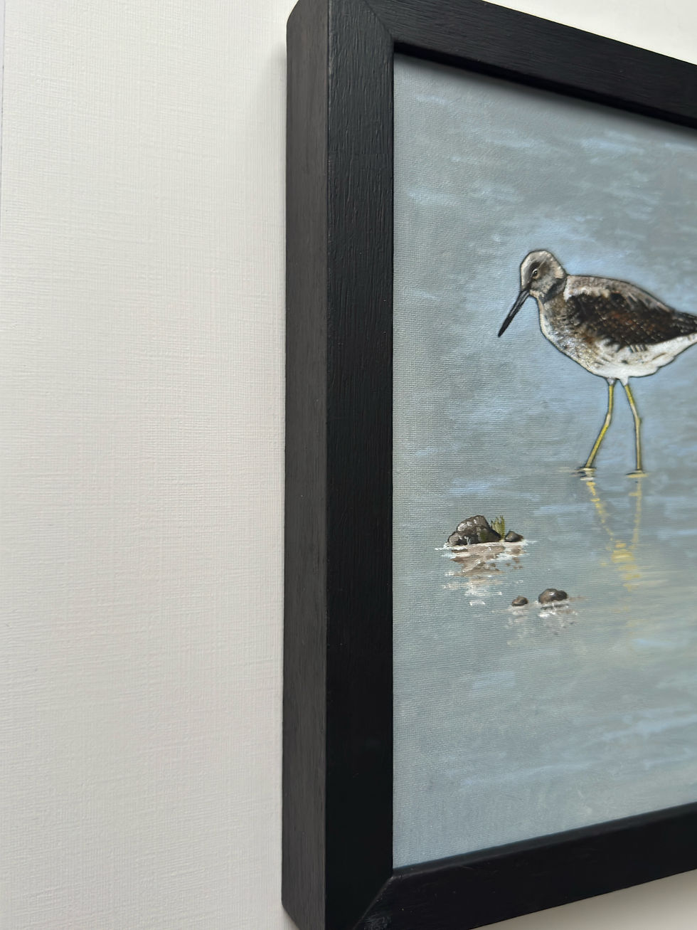 Thumbnail: Greenshank