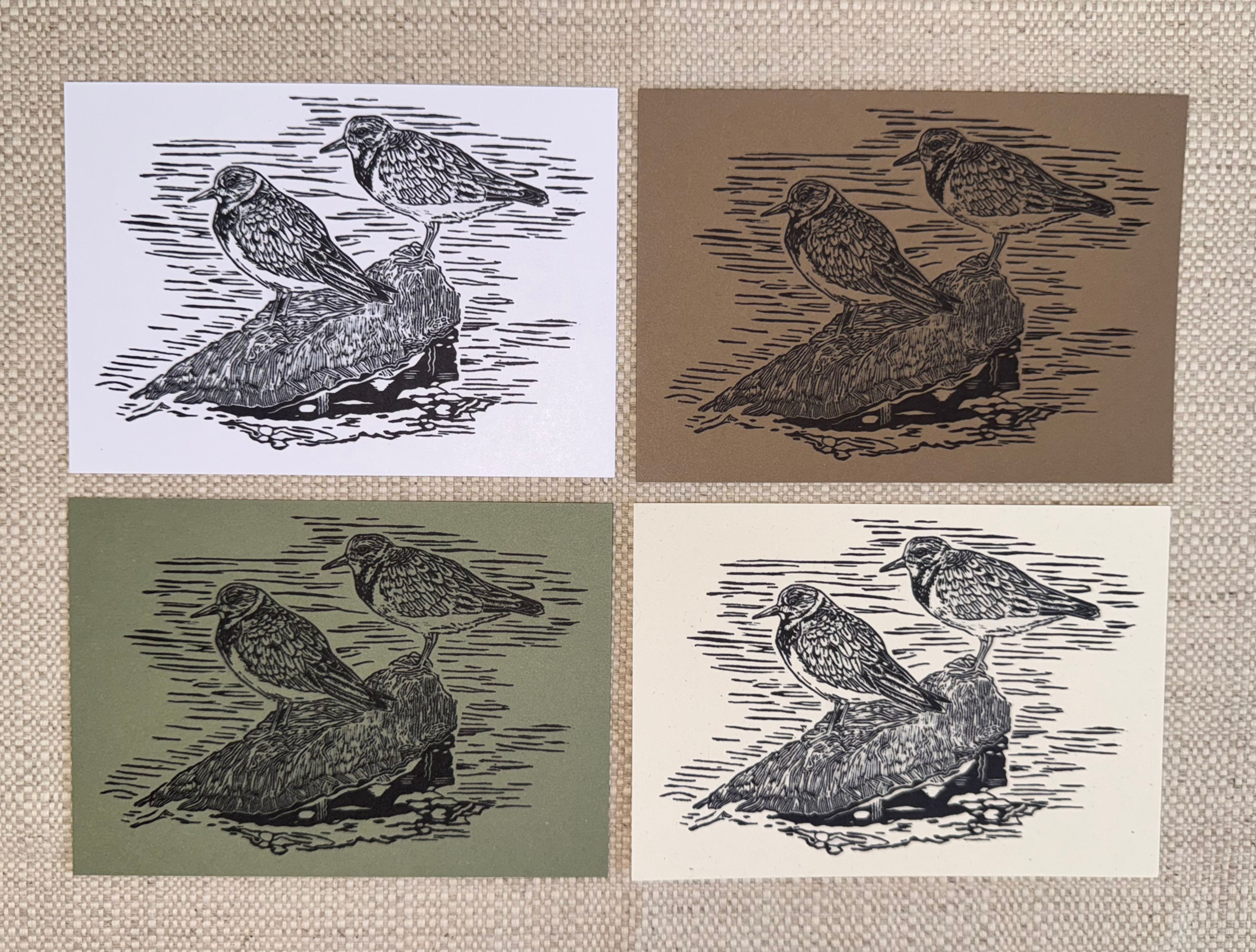 Turnstones Notecards