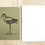 Thumbnail: Avocet #1 Single-sided Notecard
