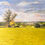 Thumbnail: Evening Light. Stour Valley at Flatford.