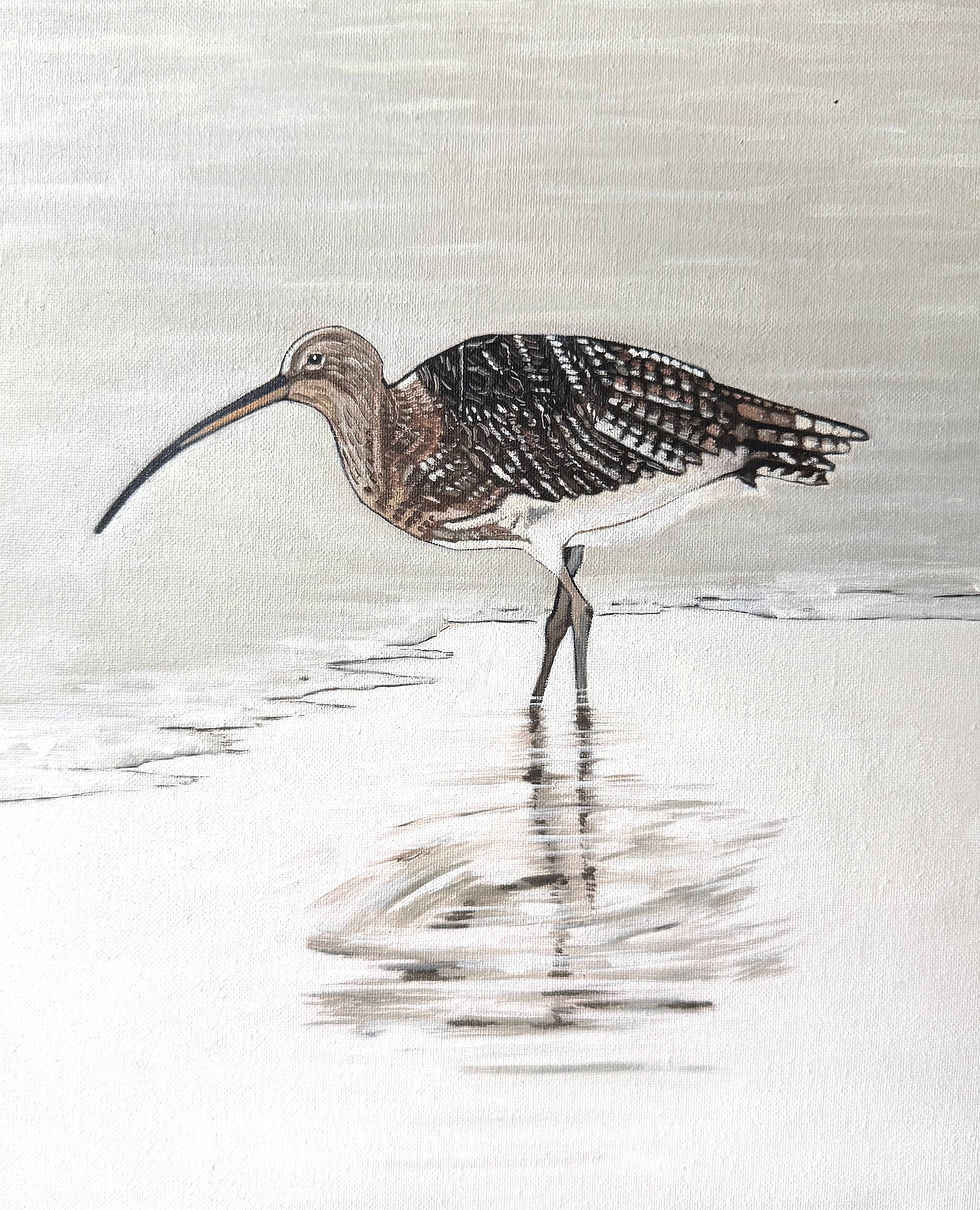 Thumbnail: Curlew