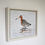 Thumbnail: Black-tailed Godwit