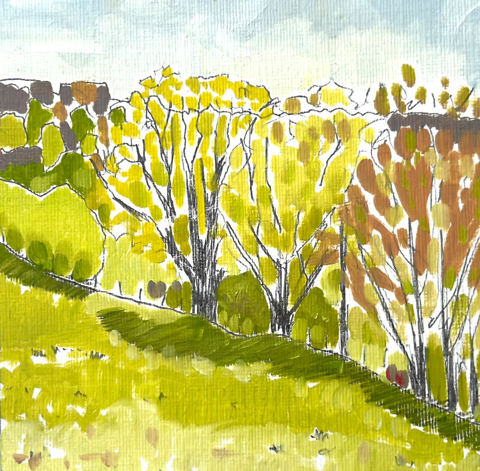 Late Summer Trees - Oil Painting on Paper