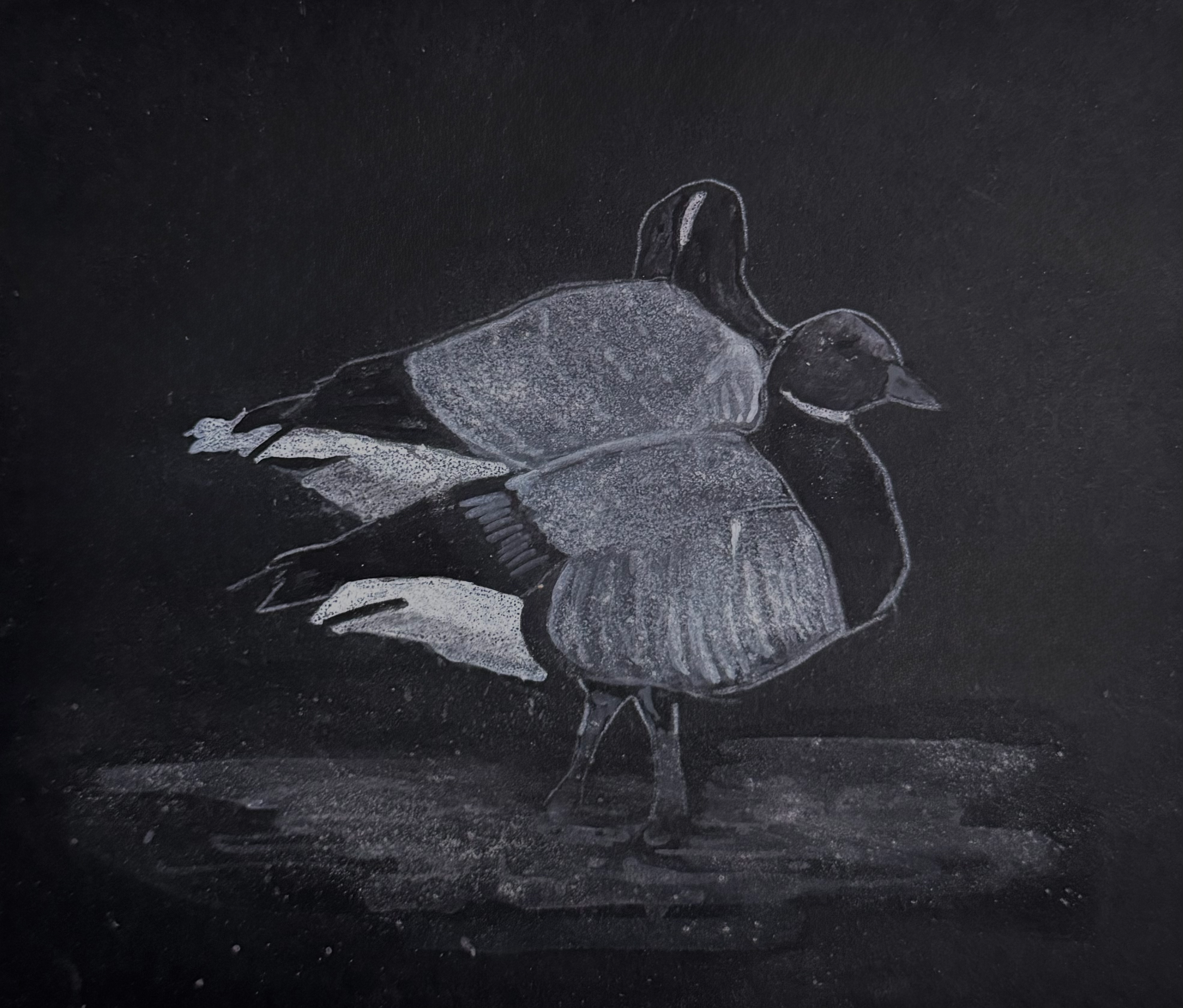 Brent Geese Study • Acrylic/Gouache/Salt