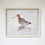 Thumbnail: Black-tailed Godwit
