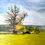 Thumbnail: Evening Light. Stour Valley at Flatford.