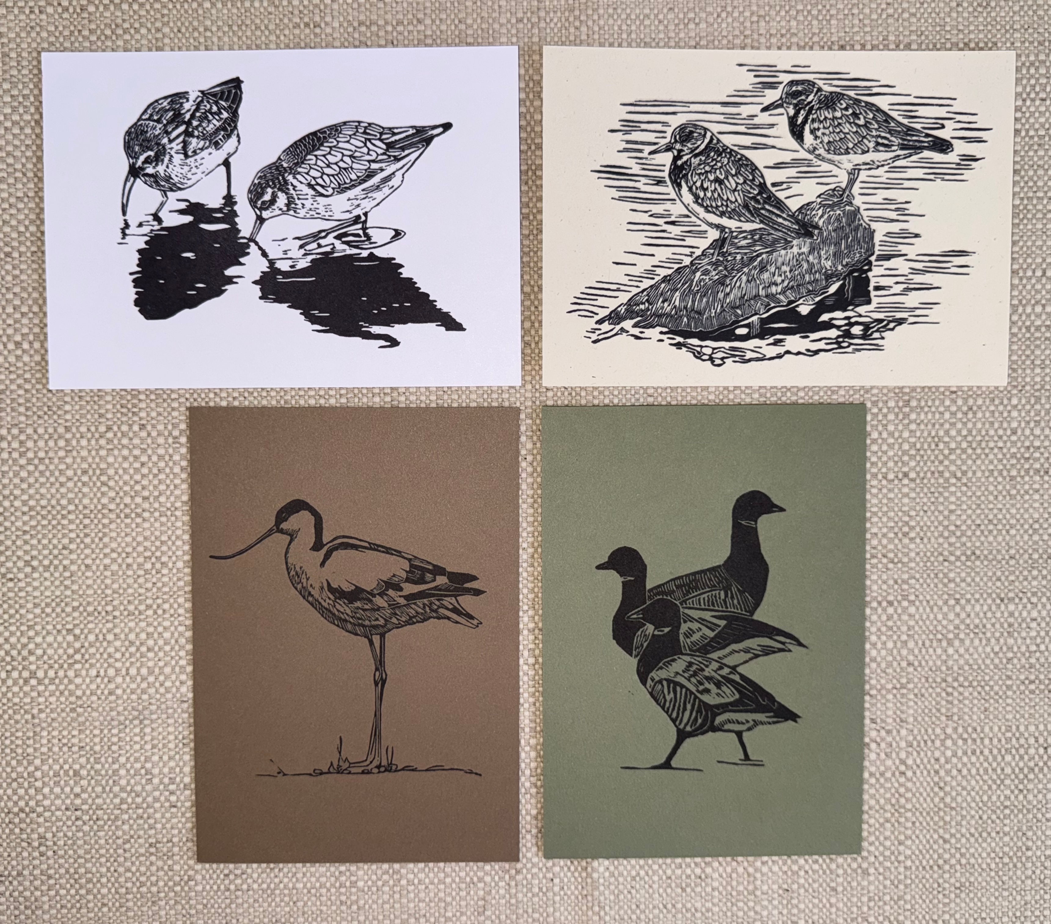 Bird Design Notecards