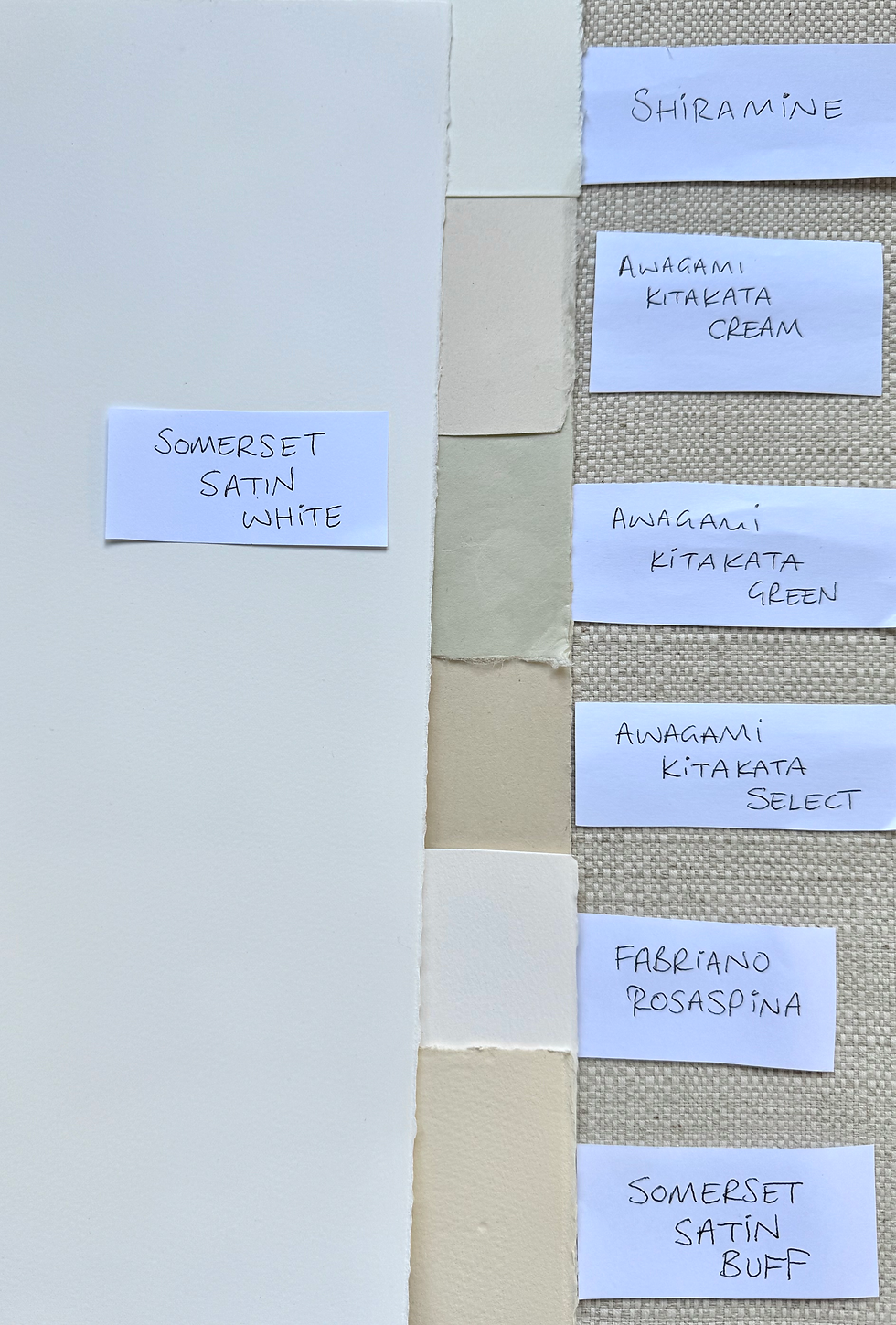 Thumbnail: Small Avocet Lino Print