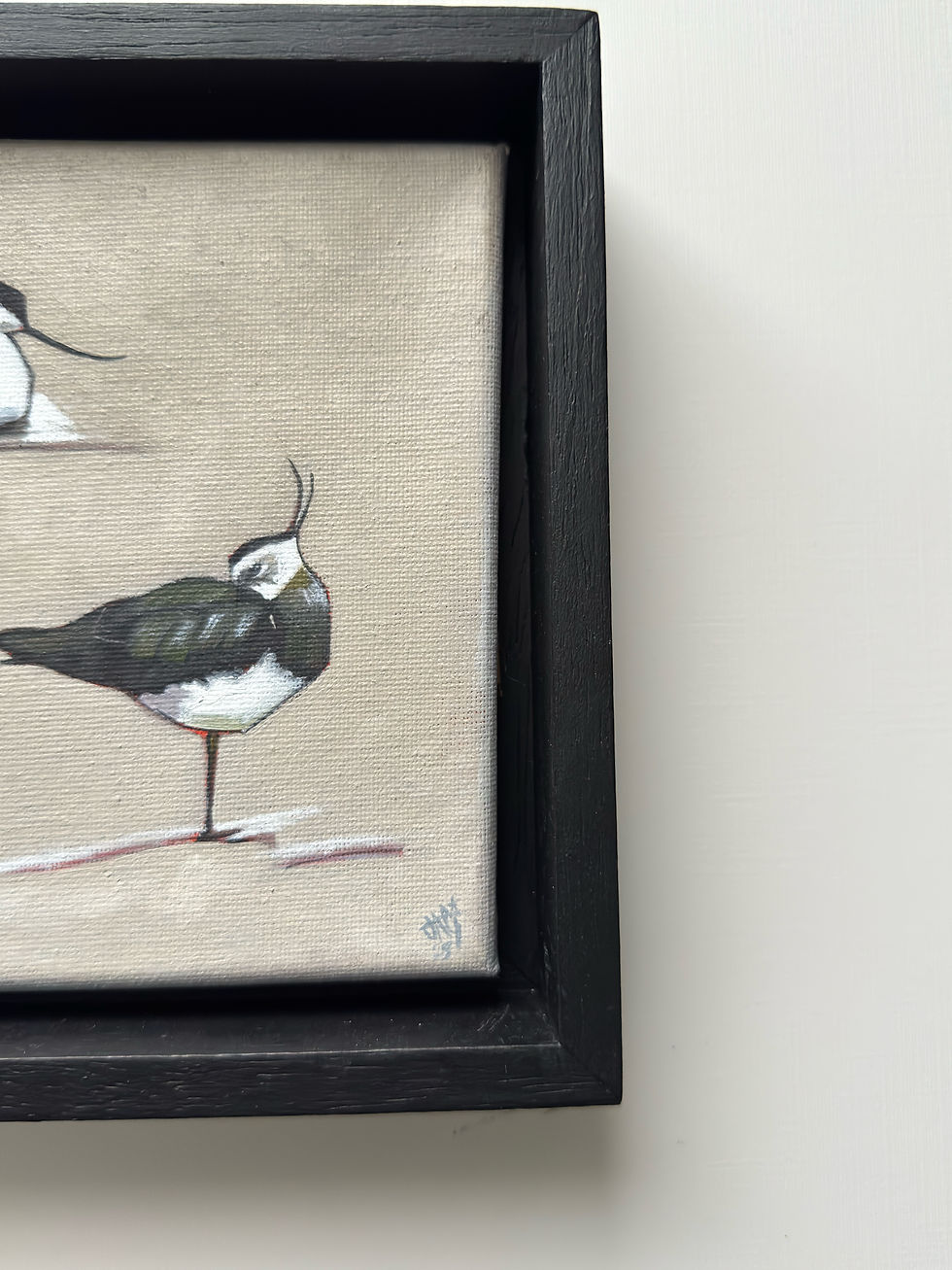 Thumbnail: Lapwing & Avocet