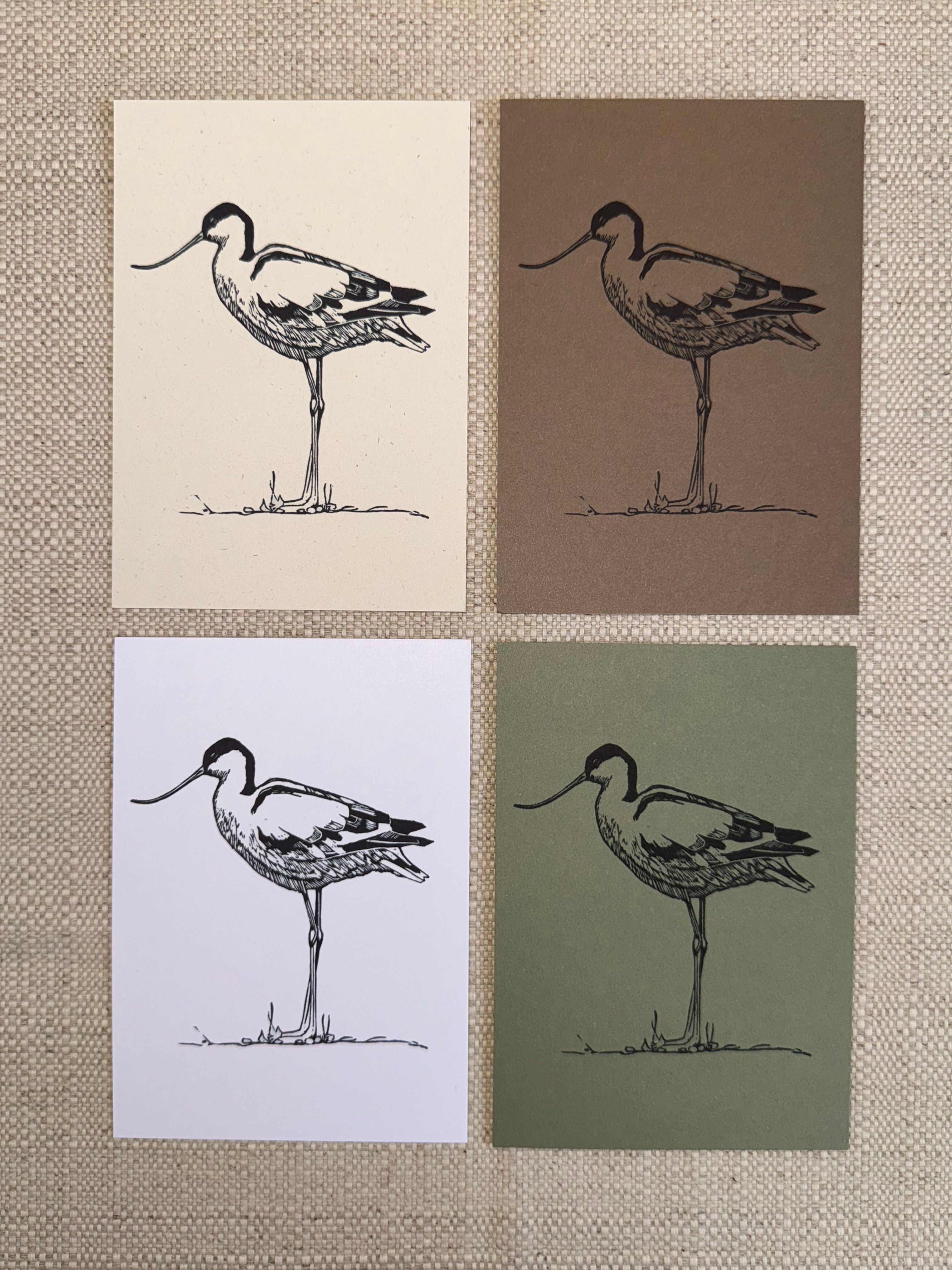 Avocet Notecards