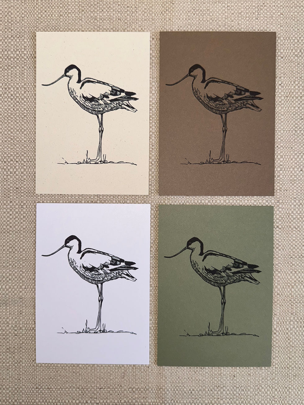 Notecards Pack 7
