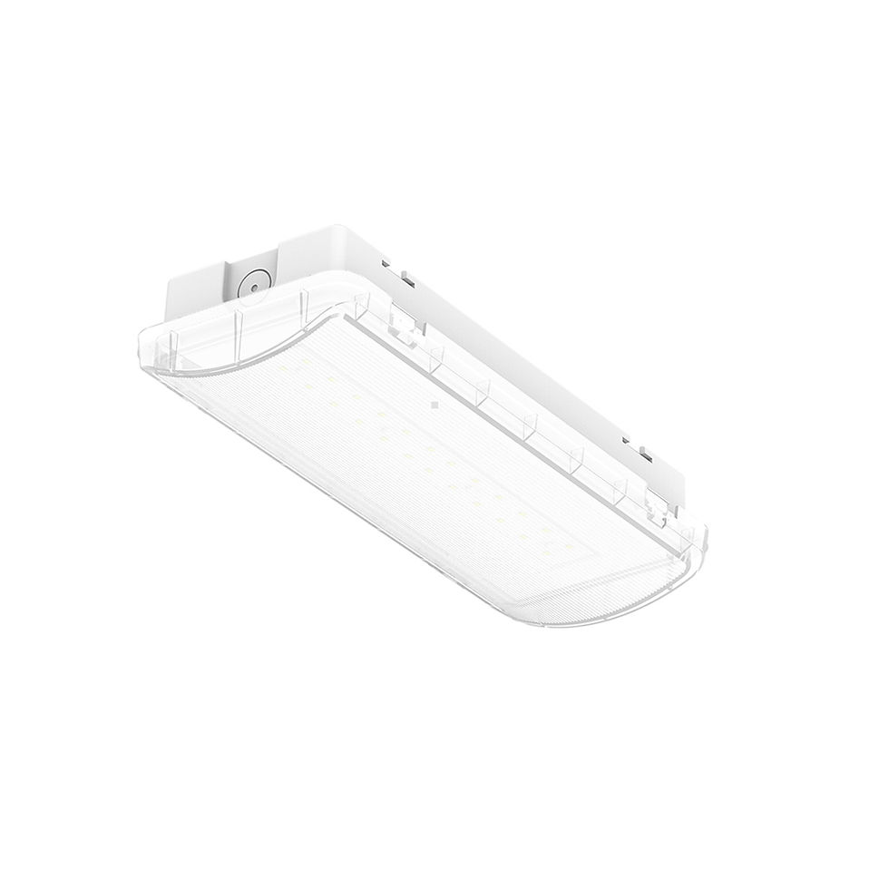 High output bulkheads use larger battery packs to provide more light than standard bulkheads. These are suitable for high risk task areas or where the emergency lights are mounted high up.