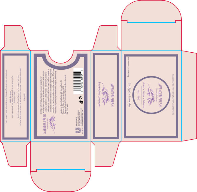 Final Project Design