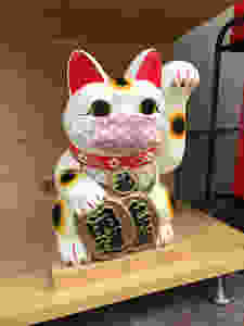 Manako Neko wearing a mask