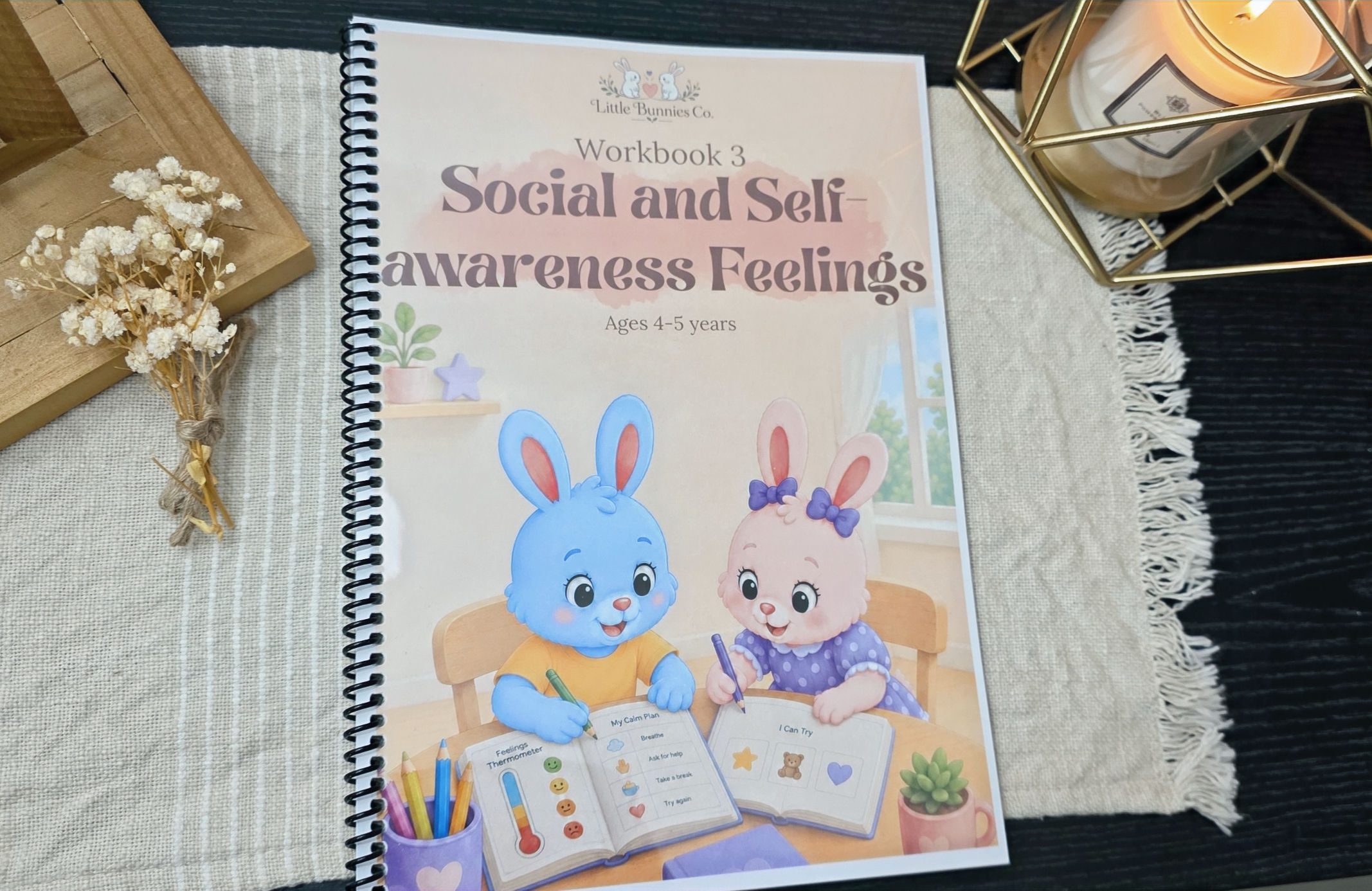 Workbook 3 - Social and Self-Awareness Feelings - Printable