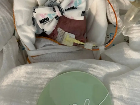 The Village That Sophie Built: An Oak Forest Preemie's Story