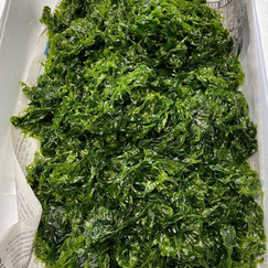 マルチ鮮魚 山北 村上