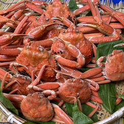 マルチ鮮魚 山北 村上