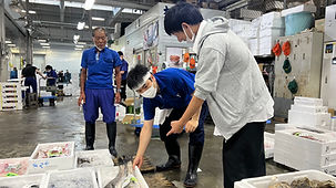 新潟市中央卸売市場より各店へ佐渡・日本海の新鮮な寿司ネタを直送