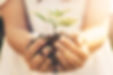 AdobeStock_288511754.jpeg