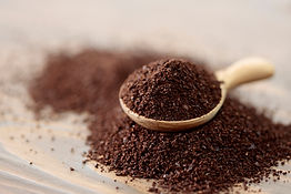 AdobeStock_515331434.jpeg