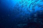 AdobeStock_261852105.jpeg