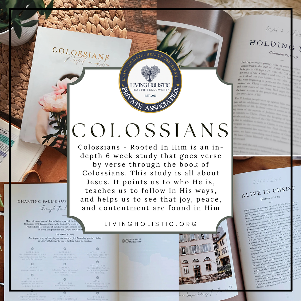 Women's Bible Study - Colossians