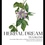 Thumbnail: Herbal Dreams Blend